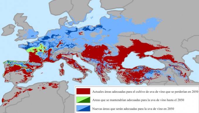 Previsión del cambio de la producción de vino
