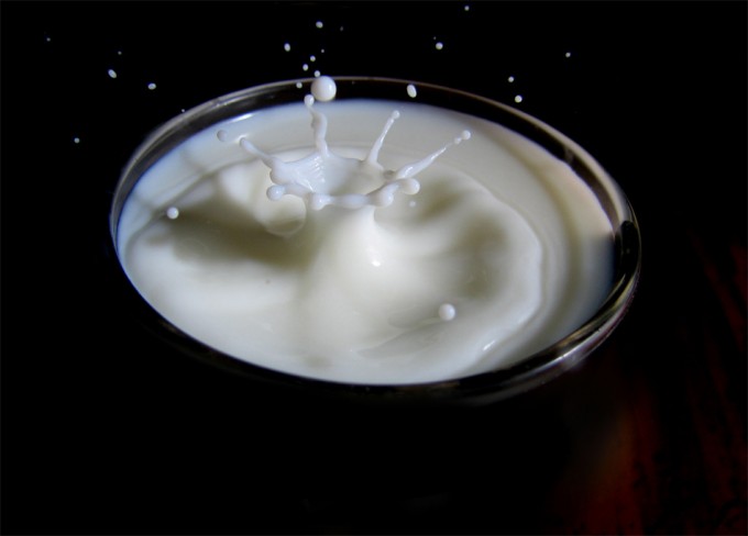 Etiquetado de origen de la leche en la Unión Europea Identificar el origen de la leche