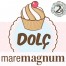 II Edición Dolç Maremagnum