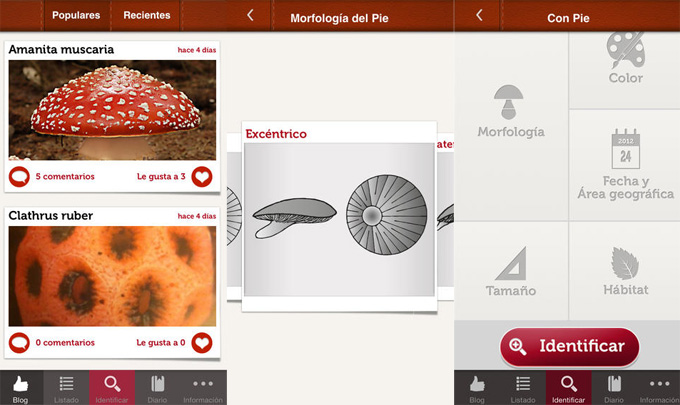 Guía virtual de setas