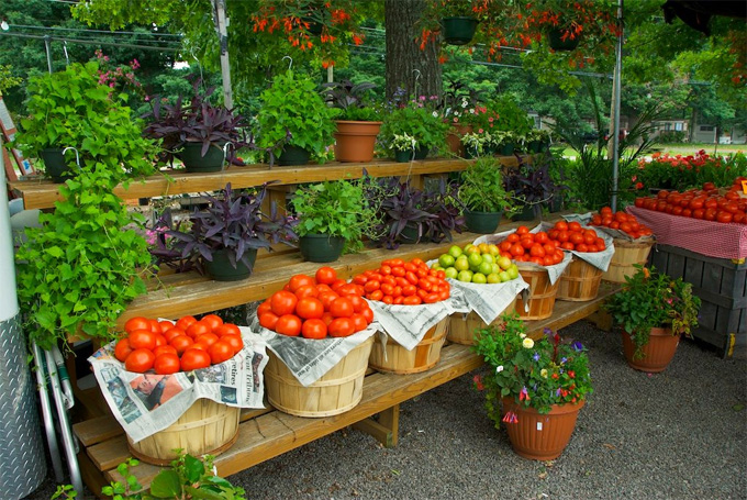 Intención de compra de los alimentos ecológicos