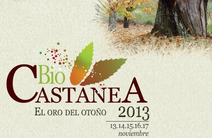 Feria Castañicultura