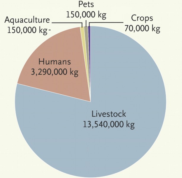 Antibióticos en la industria agroalimentaria