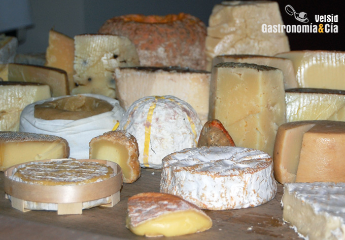 Búsquedas de quesos españoles