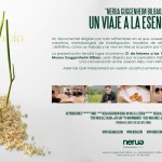 Noticias Gastronómicas