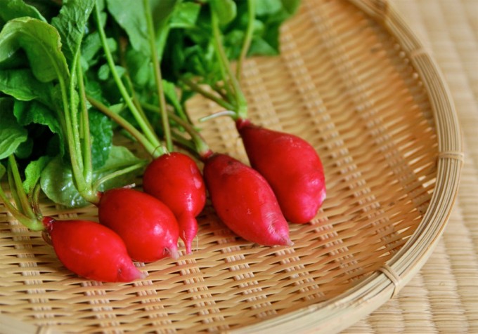 Diccionario gastronómico