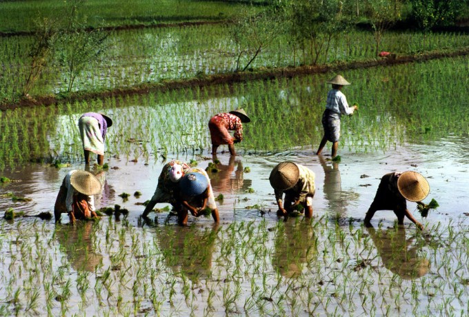 La alimentación es cada vez más similar en distintos países del mundo