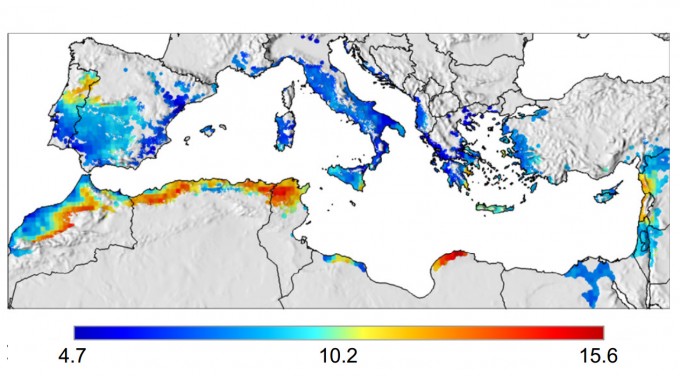 Predicción producción del olivar en 2030