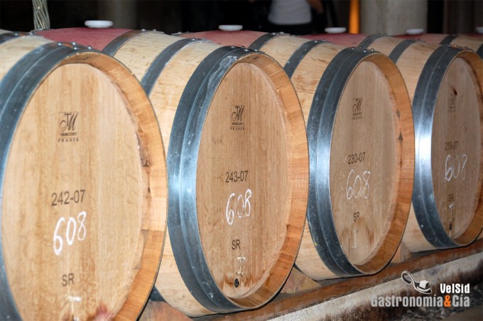 Noticias gastronómicas y enológicas Gastro Canarias 2014, Vadevinos 2014, Rutas del Vino más accesibles de España