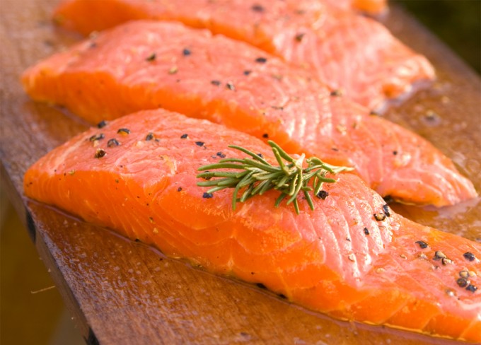 Salmón modificado genéticamente