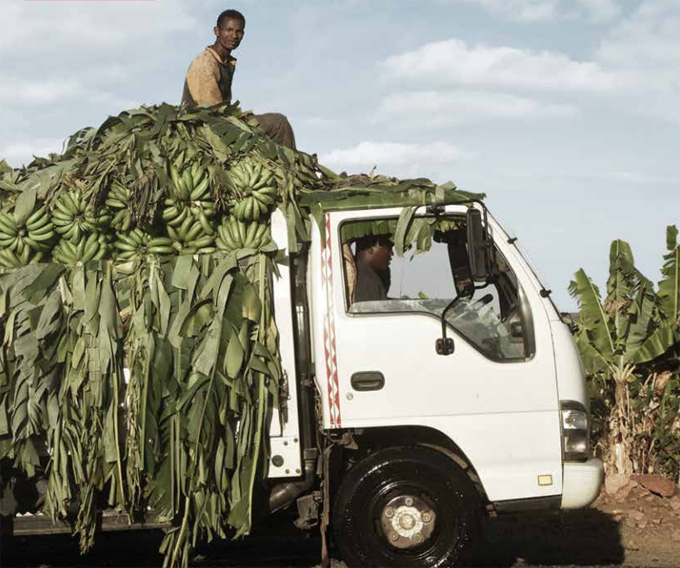 Conservación de los alimentos