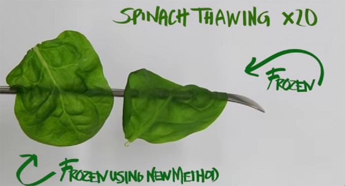 Verduras congeladas con una imagen excelente