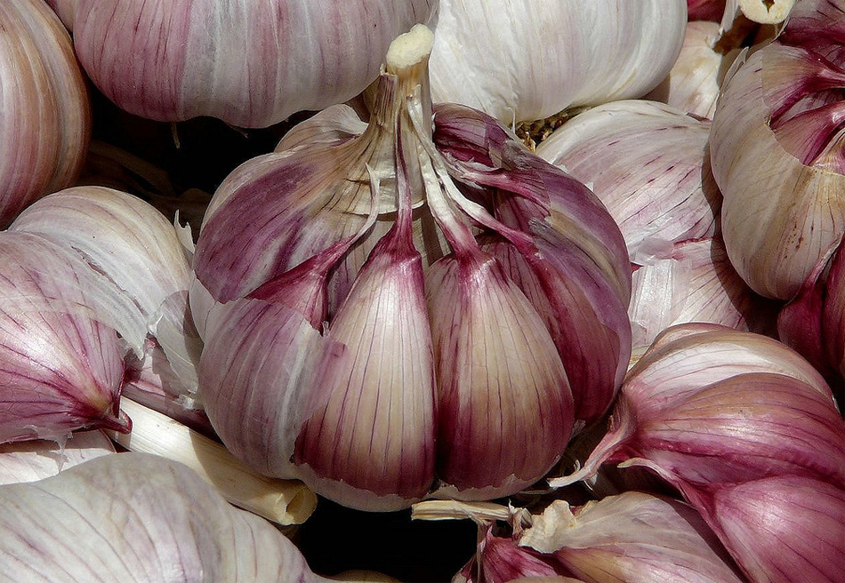 Diferencias entre al ajo español y el ajo chino Gastronomía & Cía