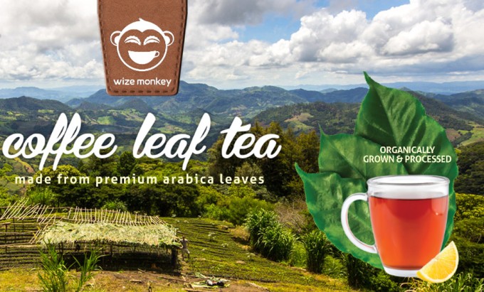 Té elaborado con hojas de café