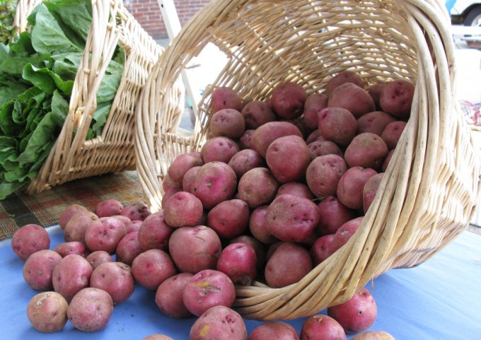 La diferencia del precio de las patatas se ha situado en un 1.140% Precio de las patatas
