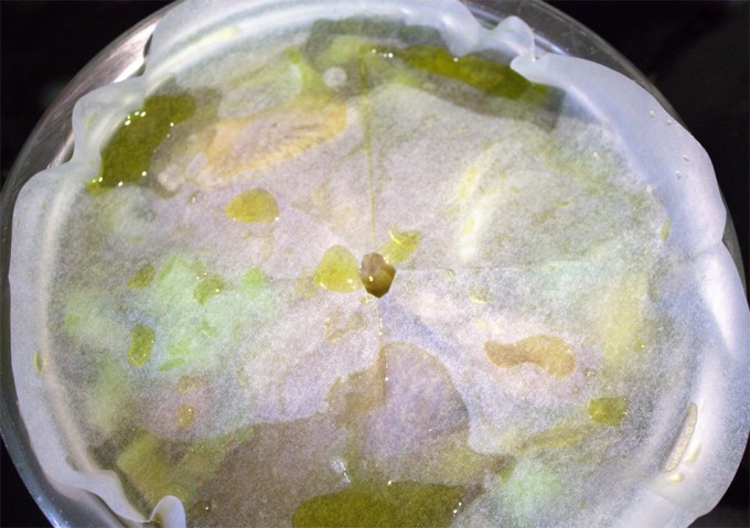 Cartucho, para reducir la evaporación