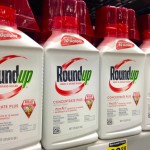 Roundup de Monsanto