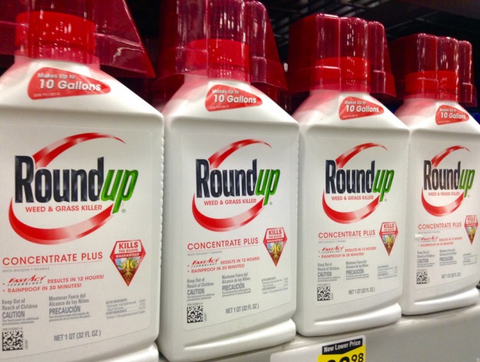 El herbicida Roundup es tan inocuo que te lo podrías beber Roundup de Monsanto