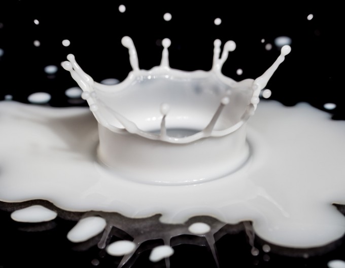 Multadas grandes compañías lácteas en España