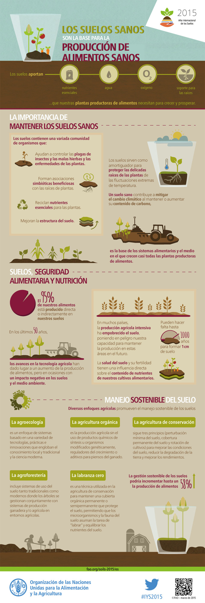 La importancia de la tierra para el cultivo de alimentos