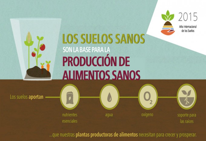 La importancia del suelo para la producción de alimentos