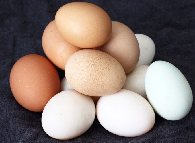 Infografía de la FAO sobre el huevo