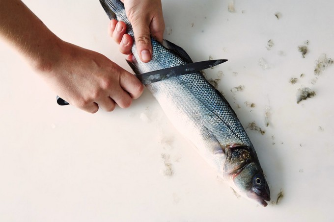 Qué significa descamar