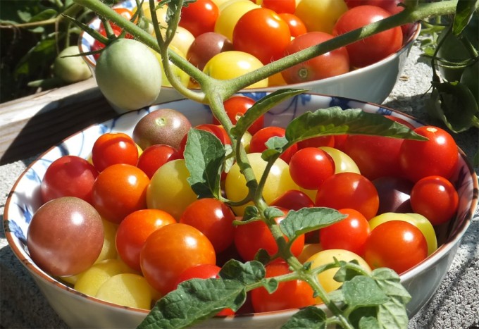 Impuestos en los alimentos calóricos y subvenciones en los alimentos saludables El aumento del coste de una dieta saludable