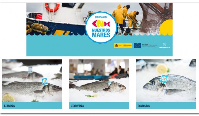 Crianza de Nuestros Mares, sello de calidad de pescados de acuicultura nacionales