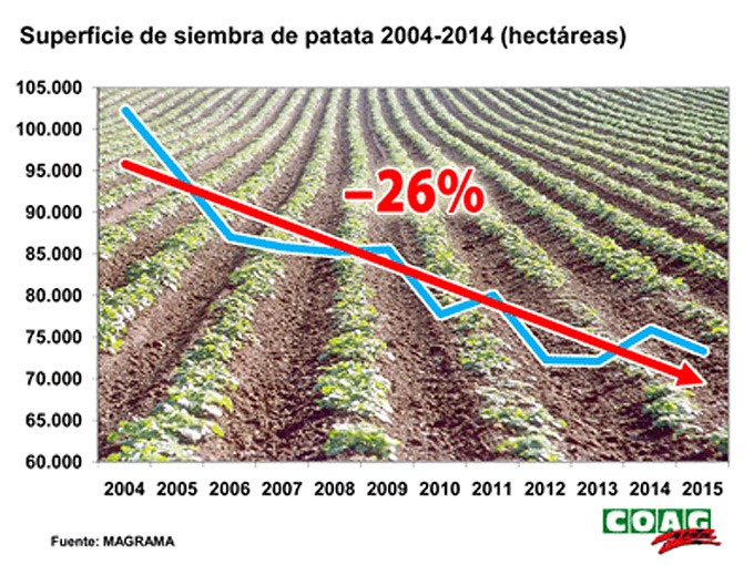 Reducción del cultivo de patatas en España Producción de patata nueva en España