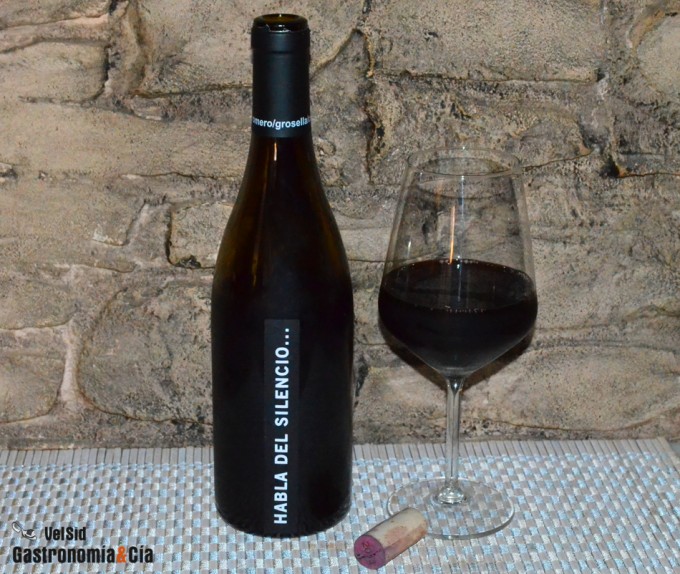 Habla del Silencio… 