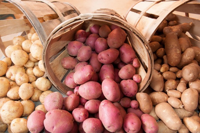 Desde el campo a la mesa se desperdicia la mitad de las patatas producidas Desperdicio alimentario