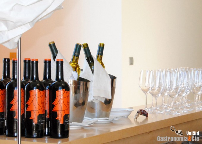 Curso de Cata de Vinos ESAH