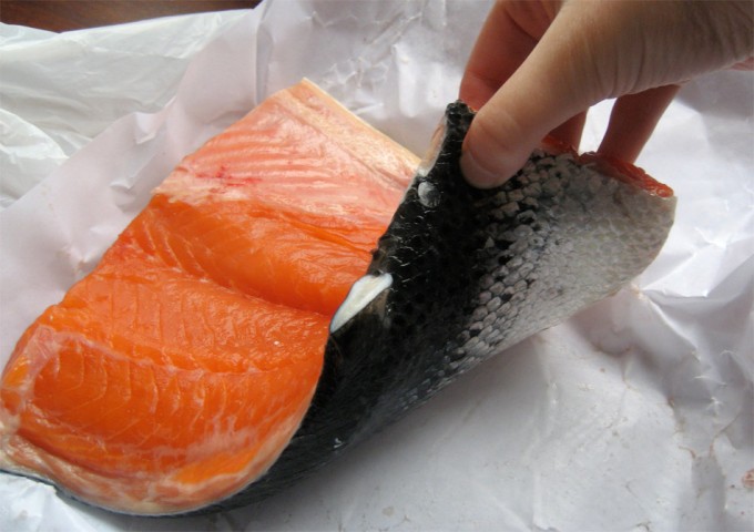 AquaBounty Technologies