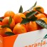 Sorteo de una caja de naranjas