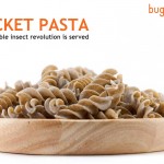 Alimentos elaborados con insectos