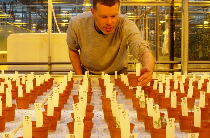 Cultivos en el planeta rojo