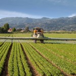 Informe sobre el glifosato