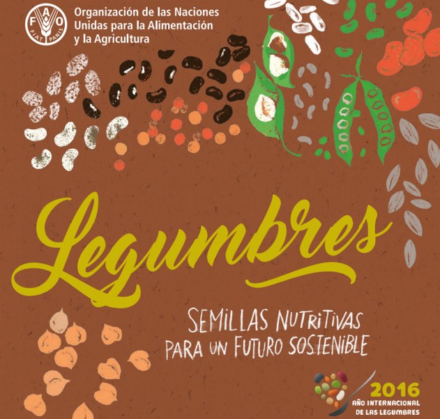 Recetas con legumbres de la FAO