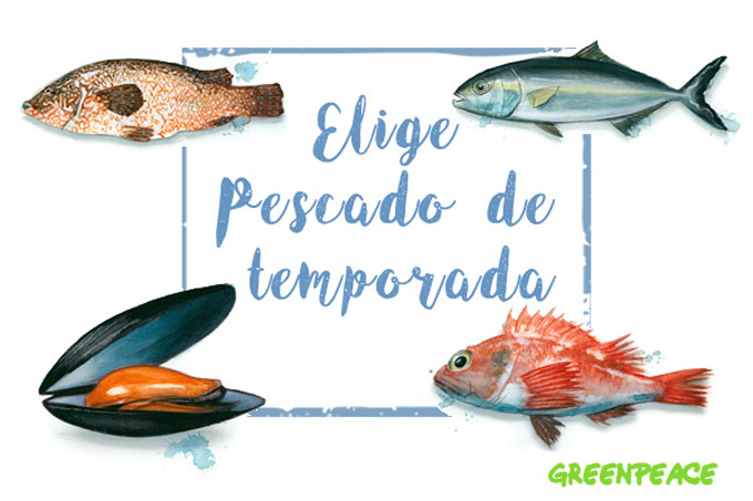 Guía de pescado Greenpeace