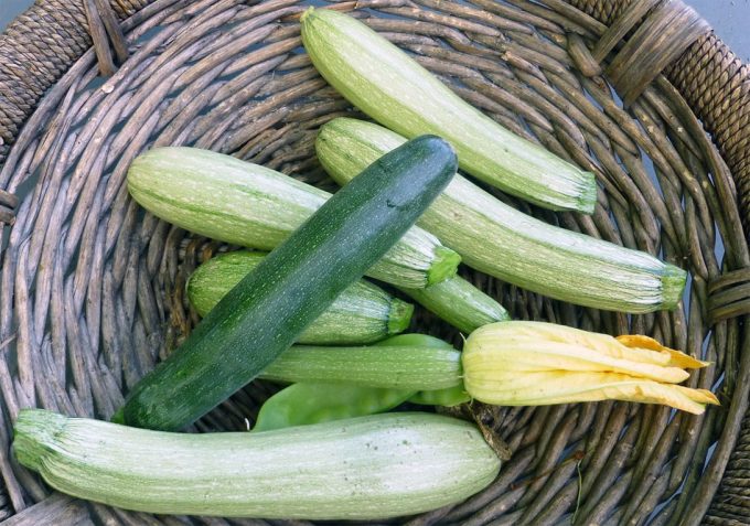 Ipod septiembre 2016