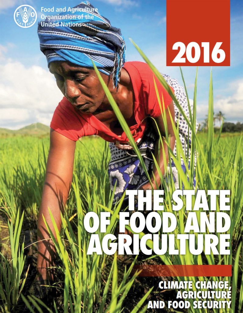 Organización de las Naciones Unidas para la Agricultura y la Alimentación