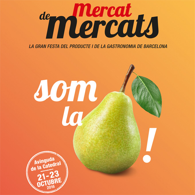 Programa de actividades