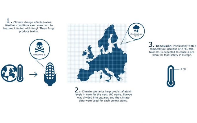 Modelo predictivo del contenido de micotoxinas en los alimentos