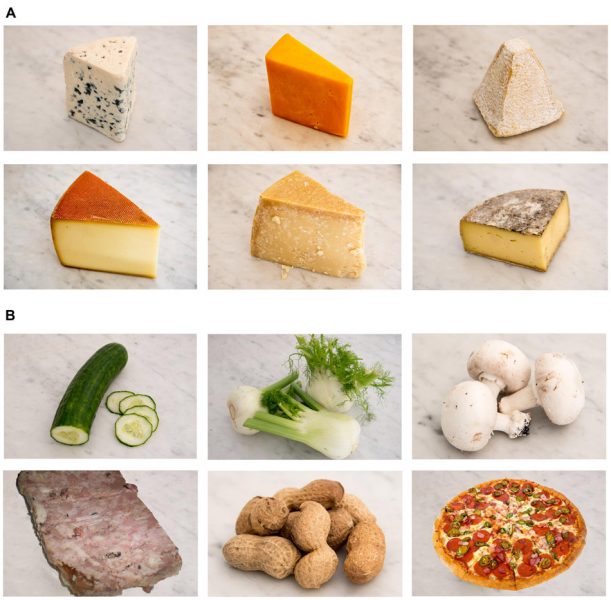 Investigación sobre la aversión por el queso