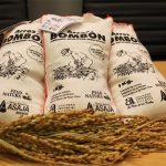 Arroz Bombón variedad autóctona recuperada