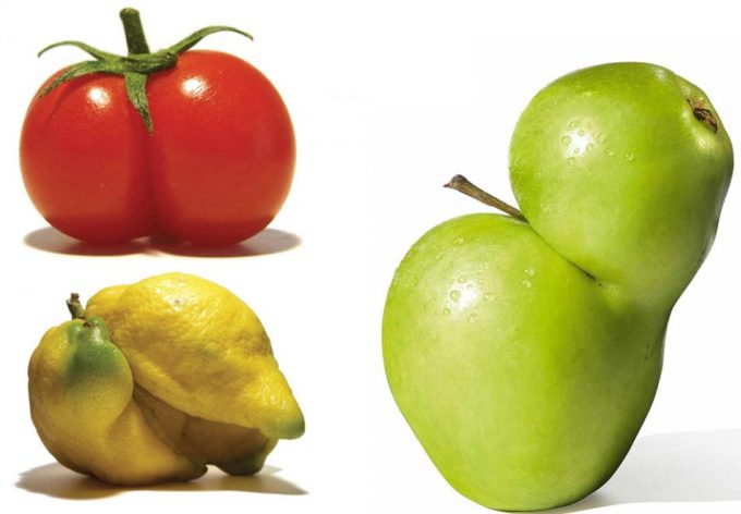 Alimentos imperfectos