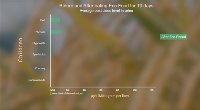 Pesticidas presentes en los alimentos