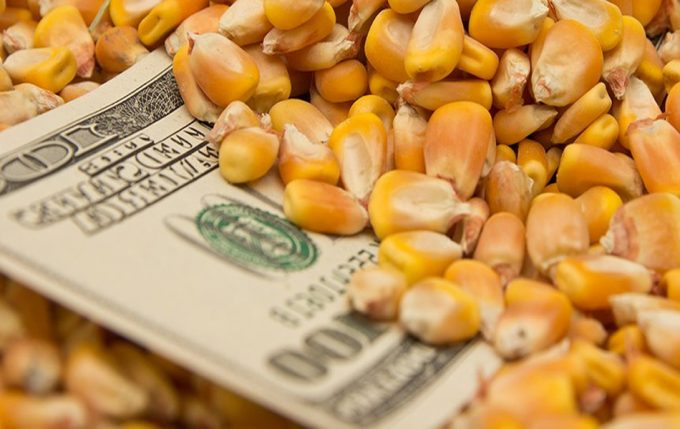 Vínculos entre la Academia Nacional de Ciencias y la industria de la biotecnología en Estados Unidos Biotecnología en Estados Unidos