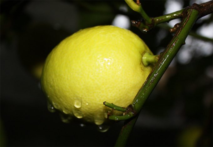 IPOD de diciembre 2016